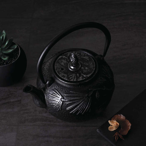 Tetera De Plancha Fundido De 0,8 L