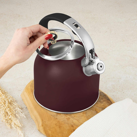 Imatge del producte de Bullidor amb tapa de vidre 3,0L APTE PER A INDUCCIÓ. Forma part de la col·lecció Leonardo. Característiques: • Material: acer inoxidable 18/10 amb recobriment en pols mat, vidre • Capacitat: 3,0 L • Color: bordeus mat. (Vista d'estudi). Producte oficial de Berlinger, impulsat per Promintra sl.
