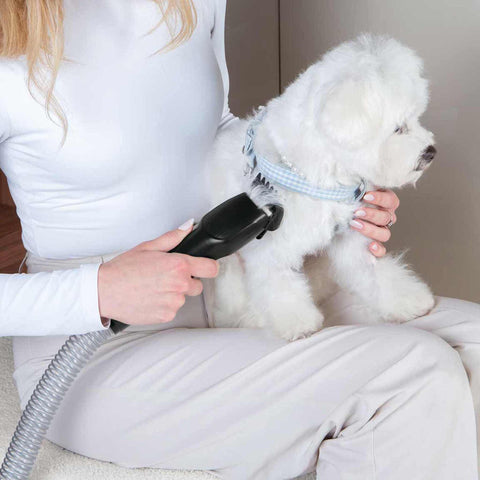Product image of Pet grooming vacuum cleaner. Part of the Black Rose Collection . Features: • Power: 220-240V, 50-60Hz, 350W • Dust capacity: 2,2L • Accessories: • Hair remover roller • Crevice tool • Deshedding brush • Grooming brush • El.... (Studio view). Official Berlinger Haus product, boosted by Promintra sl.