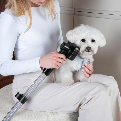Product image of Pet grooming vacuum cleaner. Part of the Black Rose Collection . Features: • Power: 220-240V, 50-60Hz, 350W • Dust capacity: 2,2L • Accessories: • Hair remover roller • Crevice tool • Deshedding brush • Grooming brush • El.... (Studio view). Official Berlinger Haus product, boosted by Promintra sl.