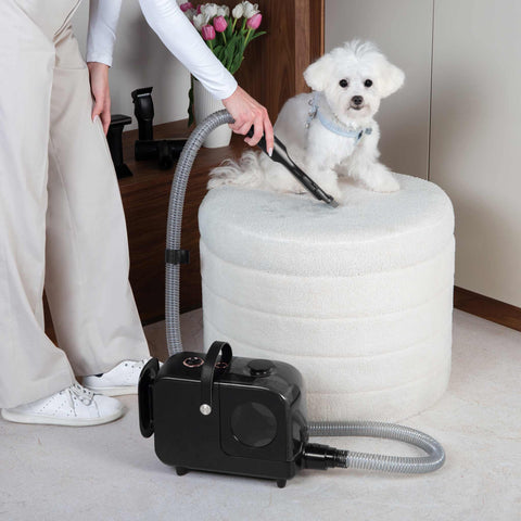 Product image of Pet grooming vacuum cleaner. Part of the Black Rose Collection . Features: • Power: 220-240V, 50-60Hz, 350W • Dust capacity: 2,2L • Accessories: • Hair remover roller • Crevice tool • Deshedding brush • Grooming brush • El.... (Studio view). Official Berlinger Haus product, boosted by Promintra sl.