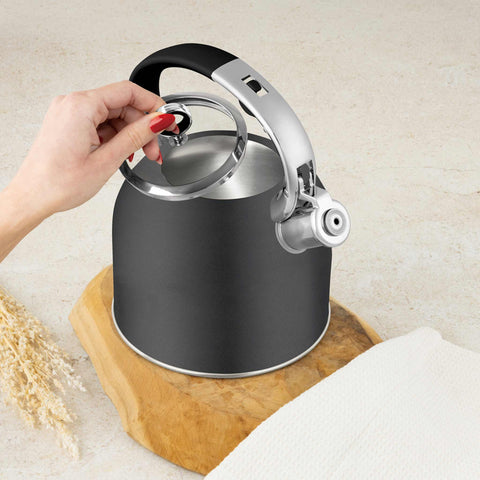  BH/8917, Hervidor con tapa de cristal 3,0L APTO PARA INDUCCIÓN, Antracita Mate, Hervidor con tapa de cristal