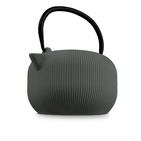 Tetera De Plancha Fundido De 1 L
