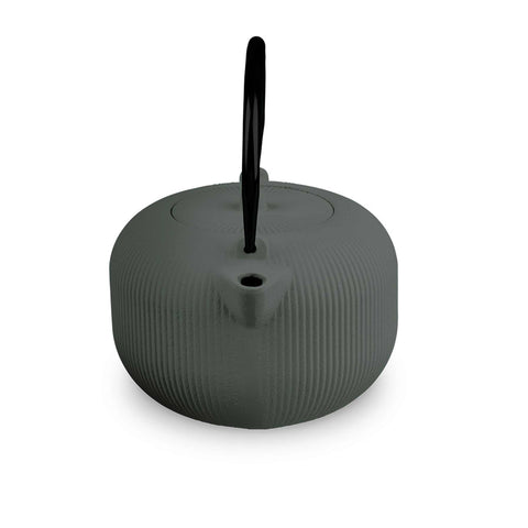 Tetera De Plancha Fundido De 1 L