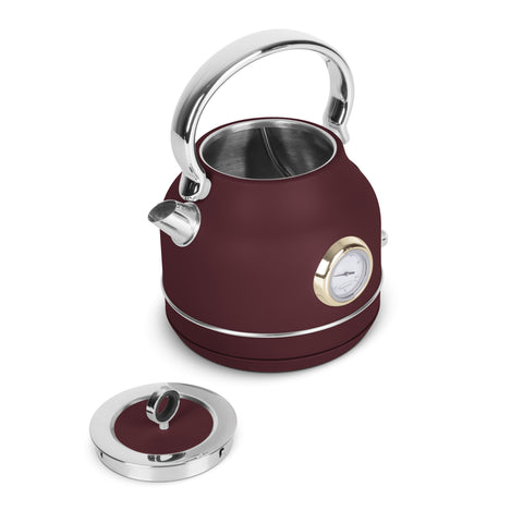 Electric kettle with thermometer