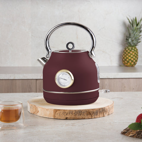 Electric kettle with thermometer