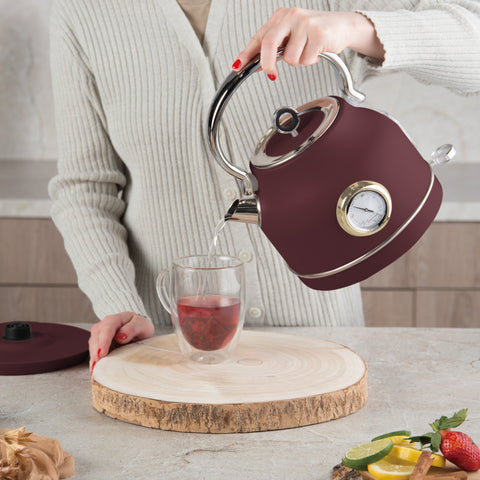 Electric kettle with thermometer