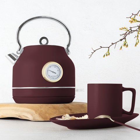 Electric kettle with thermometer