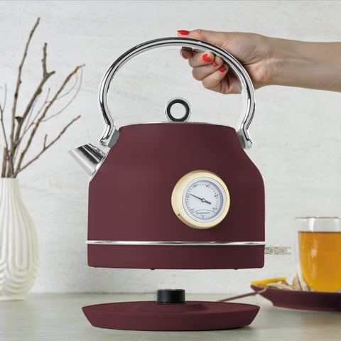 Electric kettle with thermometer